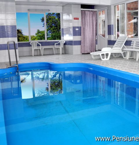 pensiunea larisa piscina 3 pensiunea larisa piscina 3